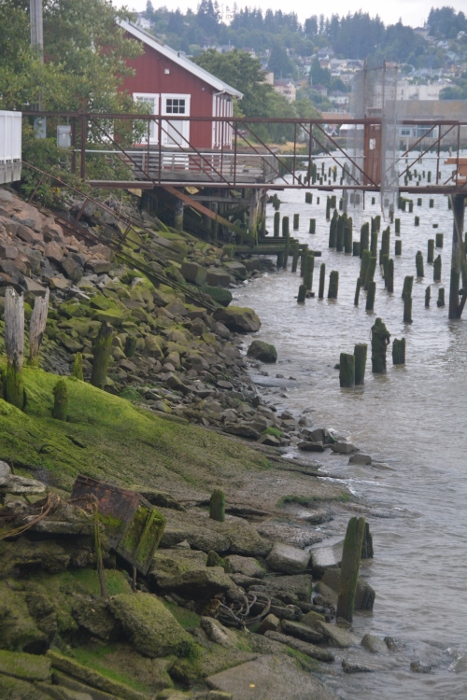 on the waterfront